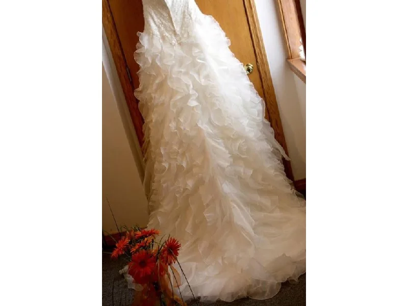 Your Chance to Save is Now!Monique Luo 515